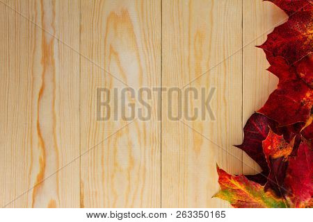 Red And Orange Autumn Leaves On A Wooden Background, With Copy Space