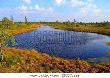 Big Swamp Wetlands Kemeri National Park, Latvia. Travel Concept.view Of Swamps In Latvia
