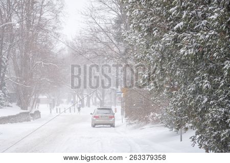Streets And Trees Covered With Snow During Winter Snow Storm In Toronto In February