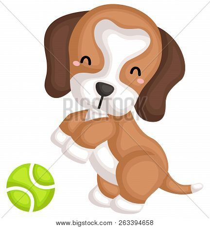 A Happy Cute Pure Beagle Dog Breed