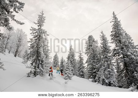 Three Snowboarders Standing Between The Snowcovered Trees In The Popular Tourist Resort In Goderzi, 
