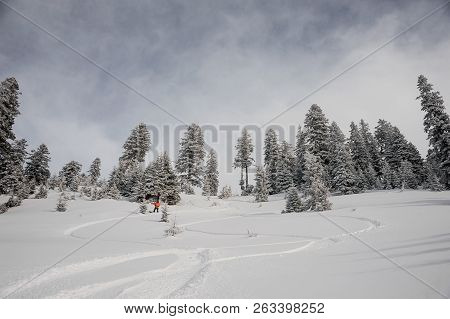 Man Running Down The Mountain Hill On The Snowboard On The Background Of Sky And Trees Making Trace 