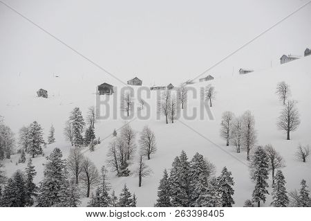 Beautiful Winter Landscape Of Snow Covered Hills With Trees On The Popular Tourist Resort In Goderzi