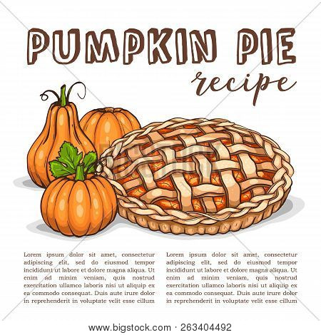 Vector Color Sketch Pumpkin Pie Reciep, Lime Art, Hand Drawn Illustration