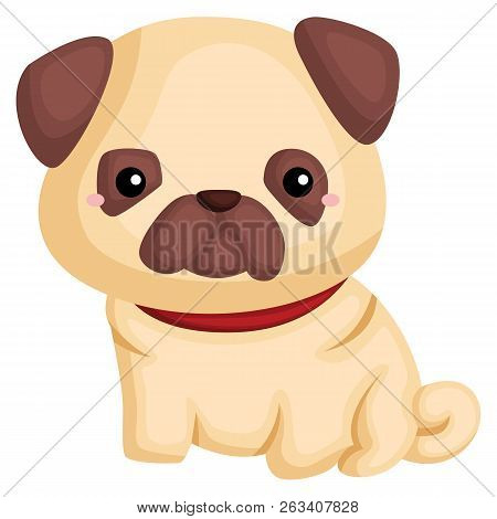 A Dog With A Pug Pure Breed