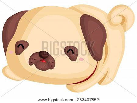 A Dog With A Pug Pure Breed