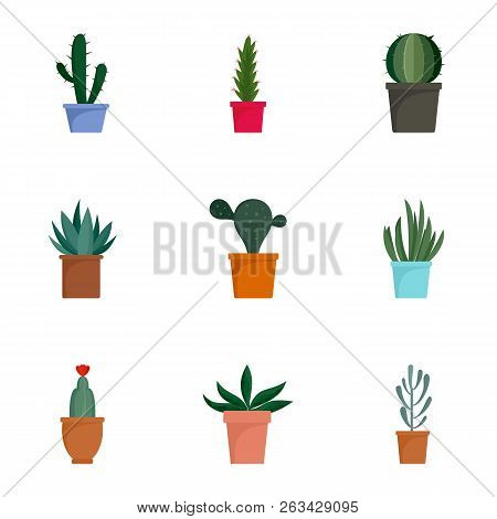 Succulent Cactus Plant Icon Set. Flat Set Of 9 Succulent Cactus Plant Vector Icons For Web Design