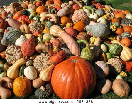 Vendemmia