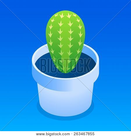 Office Cactus Pot Icon. Isometric Of Office Cactus Pot Vector Icon For Web Design Isolated