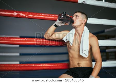 Male Boxer Drinking Water After Fight Or Workout Exercising In Boxing Ring