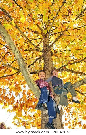 Kinder kletterte auf Baum