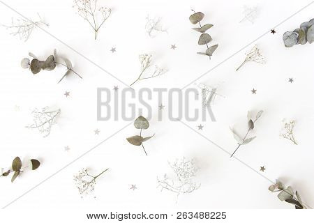 Christmas Floral Pattern. Winter Composition Of Eucalyptus Tree Branches, Babys Breath Flowers, Calo