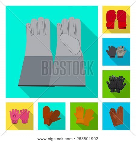 Vector Illustration Of Glove And Winter Symbol. Collection Of Glove And Equipment Stock Vector Illus