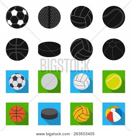 Vector Design Of Sport And Ball Symbol. Collection Of Sport And Athletic Vector Icon For Stock.