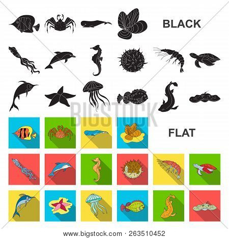 A Variety Of Marine Animals Flat Icons In Set Collection For Design. Fish And Shellfish Vector Symbo