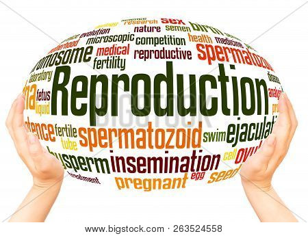 Reproduction Word Cloud Hand Sphere Concept
