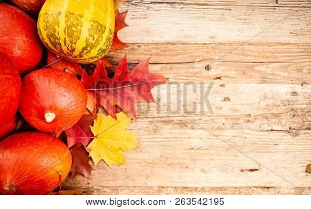 topdown Autumn background with pumpkins overhead view with copy space
