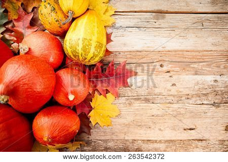 topdown Autumn background with pumpkins overhead view with copy space