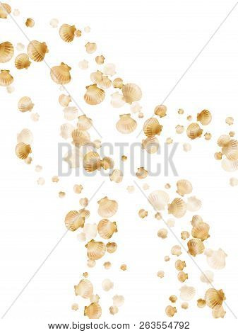 Gold Seashells Vector, Golden Pearl Bivalved Mollusks. Sea Scallop, Bivalve Pearl Shell, Marine Moll