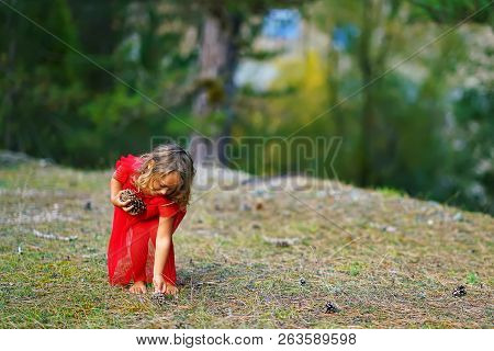 Little Girl In A Red Dress Collects Cones In The Forest In Greece