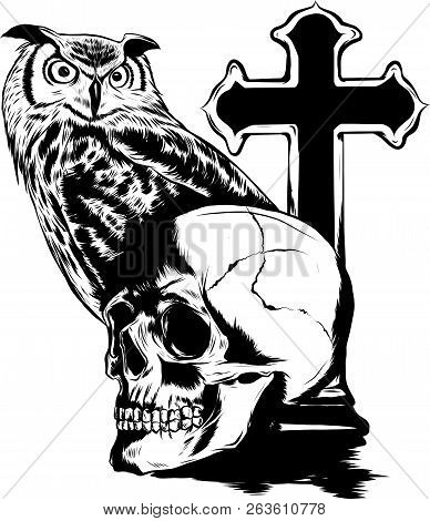 Vector Illestation Drawing Of Owl Holding Skull