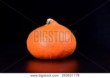 Autumn Pumpkin On A Black Background With Reflection