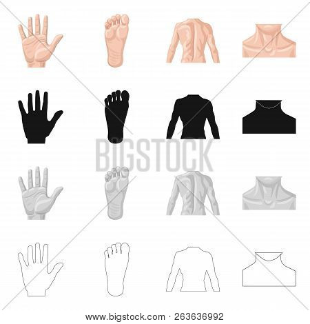 Vector Illustration Of Human And Part Logo. Set Of Human And Woman Stock Vector Illustration.
