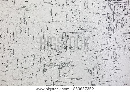 Gray Decorative Bark Beetle Bug Plaster Texture With Imitation Of Trunk With Trace For Modern Loft I