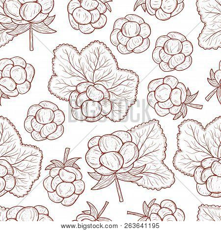 Cloudberry. Berry, Leaves. Sketch. Monochrome. On A White Background. Seamless.