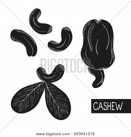Cashew. Black Silhouette On White Background. Set.
