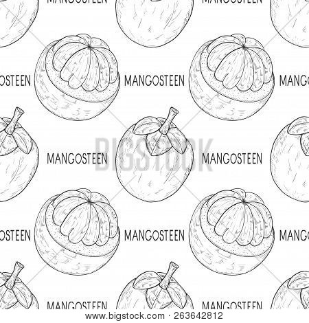 Mangosteen. Tropical Fruit. Text. Background, Seamless.  Texture. Sketch. Monochrome.