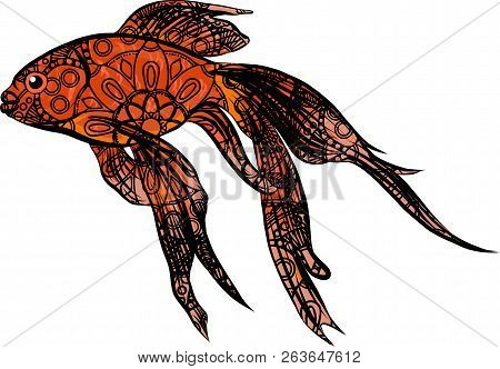 Red Drum, Redfish. Vector Illustration With Refined Details