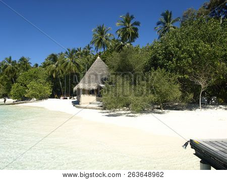 Maledives Blue Water With White Sand And Green Palms