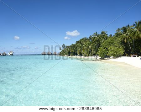 Maledives Blue Water With White Sand And Freen Palms