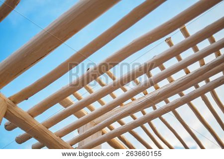 Low point of view on canopy structure made of wooden white trunks