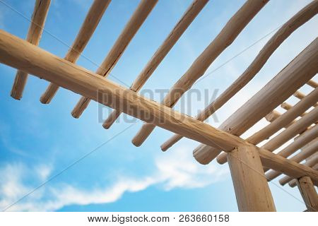 Low point of view on canopy structure made of wooden white trunks