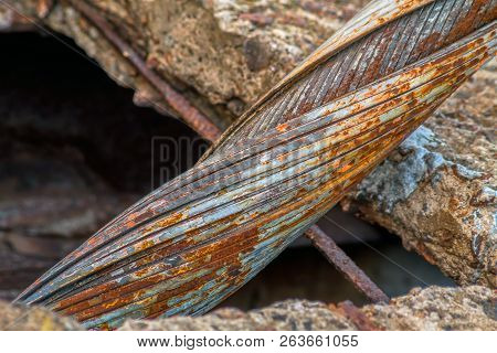 Fibers Of Steel Cable Close-up. Old Abandoned Cable-stayed Bridge