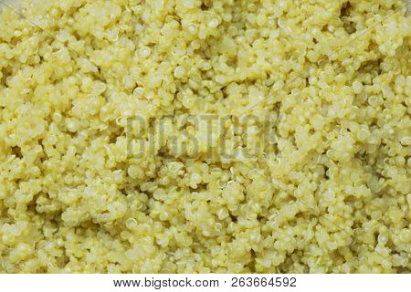 Superfood: Basic Cooked Quinoa Extreme Close Up
