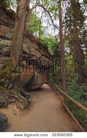 Narrow Hiking Trail In The Summer Forest. Way To The Falcon's Nest And Pravcice Gate.  Famous Hiking