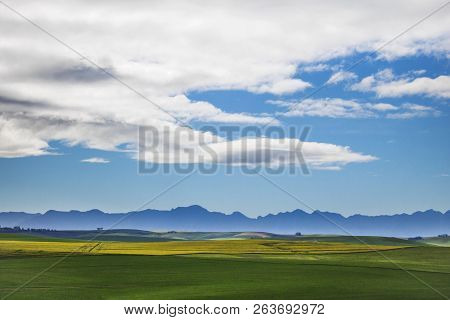 Beautiful Rolling Green And Yellow Fields With Mountains In The Distance With Blue Sky And Clouds. C