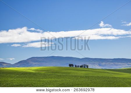 Beautiful Rolling Green Fields And Tree Line With Mountains In The Distance With Blue Sky And Clouds