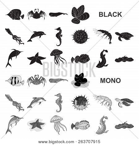 A Variety Of Marine Animals Black Icons In Set Collection For Design. Fish And Shellfish Vector Symb