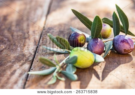 Mediterranean Olive Fruits Branch On Wooden Table Background