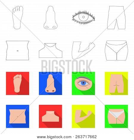 Isolated Object Of Human And Part Symbol. Set Of Human And Woman Vector Icon For Stock.