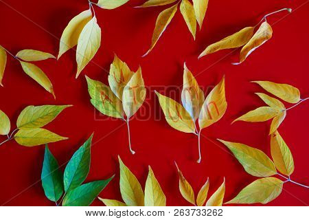 Composition Of Yellow Autumn Leaves With The Name Of The Season On A Red Background. Autumn Mood.