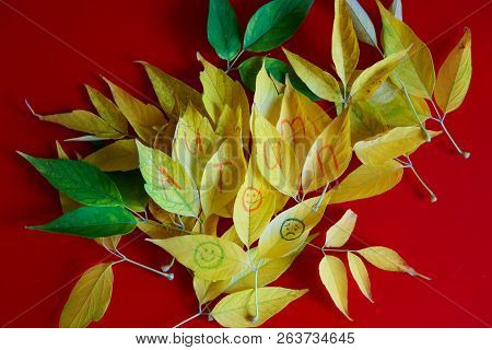 Yellow Autumn Leaves With An Inscription And Emoticons On A Red Background. Autumn Mood.