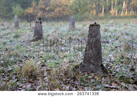 Dragon's Teeth Arranged In A Wet Area. Firewall For Tanks From World War Ii.