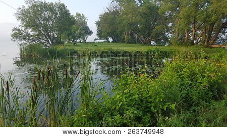 Foggy Morning Dawn Over Lake Beside Lush Green Park In North America.
