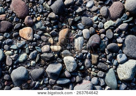 River Rocks On A Silty Muddy Bank Shore