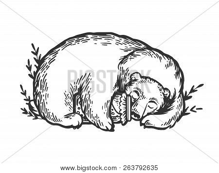 Sleeping Bear Hugging Jar Of Honey Engraving Vector Illustration. Scratch Board Style Imitation. Bla